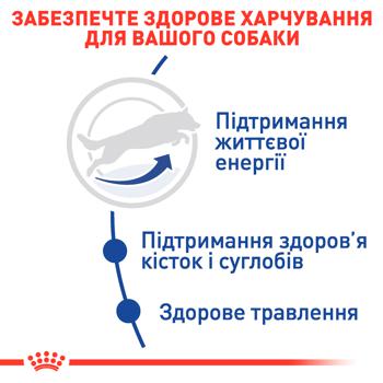 Корм сухий Royal Canin 5+ з домашньою птицею для дорослих собак великих порід 15кг - купити, ціни на MasterZoo - фото 4