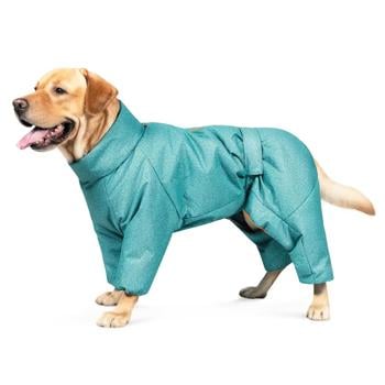 Pet Fashion Cold Raincoat for Dogs s.S Turquoise - buy, prices for - photo 2