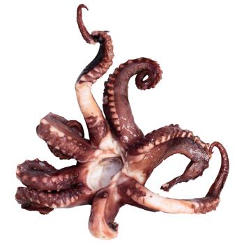 Chilled Totani Squid Tentacles - buy, prices for - photo 1