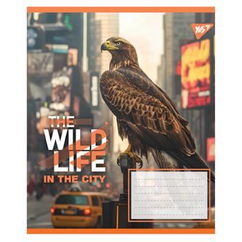 Зошит Yes The Wild in The City клітинка А5 24 аркуші - купити, ціни на - фото 4
