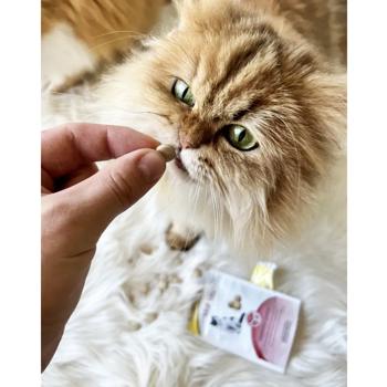 GimCat Every Day Malt Tabs Cat Snack for Hairball Control 40g - buy, prices for MasterZoo - photo 3