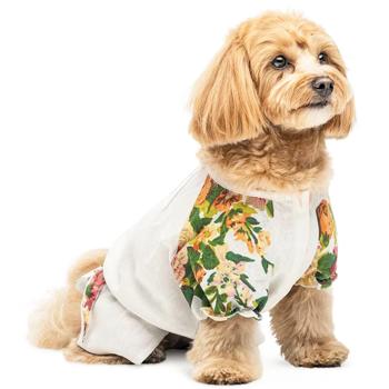 Shirt Pet fashion - buy, prices for MasterZoo - photo 3