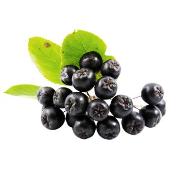 Aronia Chokeberry - buy, prices for - photo 1