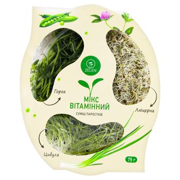 Zelen Vitamin Mix Mixture of Sprouts 75g - buy, prices for METRO - photo 2