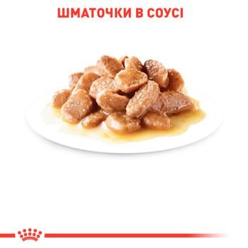 Корм влажный Royal Canin Care Hairball с домашней птицей для выведения шерсти у кошек 85г - купить, цены на MasterZoo - фото 4