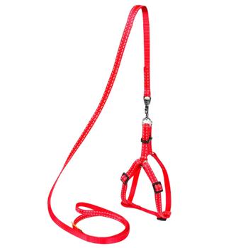 Collar - buy, prices for MasterZoo - photo 1