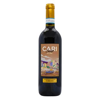 Вино Cari Saluti Montepulciano d'Abruzzo красное сухое 12,5% 0,75л - купить, цены на - фото 1