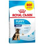 Корм сухий Royal Canin для цуценят великих порід 3,2+800г