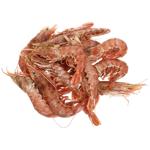 shrimp Without brand
