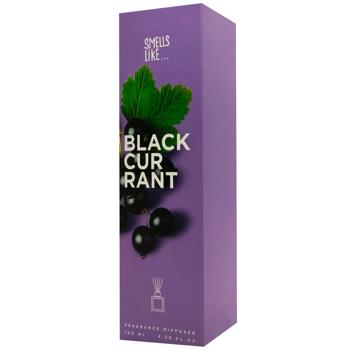Smells Like Blackberry Diffuser 100мл