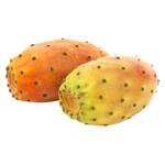 Cactus Fruit, pc