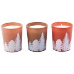 Candle Auchan 3pcs