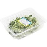 Sunflower Microgreens 50g - buy, prices for - photo 1