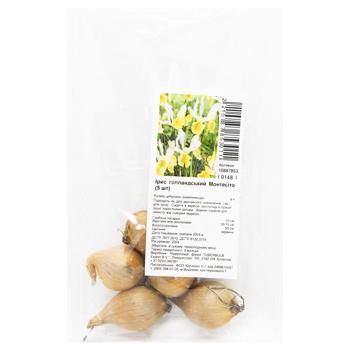 Bulb of Iris Montesito 5pcs - buy, prices for MegaMarket - photo 1