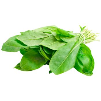 sorrel fresh - buy, prices for Epicentr FOOD - photo 1
