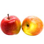 Red Chief Apple First Grade