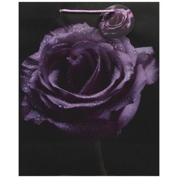 Art Studio of Happines GB-24152 Gift Bag 26х32х12cm - buy, prices for EKO Market - photo 1