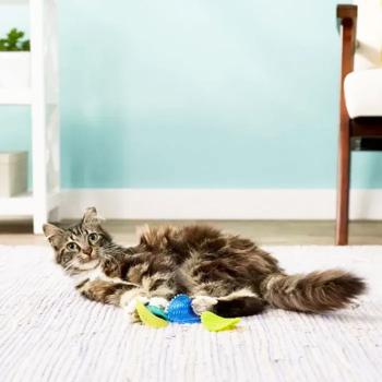 Іграшка для котів Petstages Toss N' Flip Chips 6 см х 5 см - купить, цены на MasterZoo - фото 2