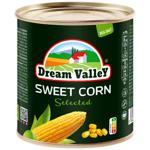 corn Dream valley 320g can China