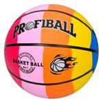 Prof1 EV Basketball in Assortment