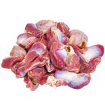 Stomach of Domestic Broiler Chicken