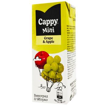 Нектар Cappy Mini виноград-яблоко 200мл - купить, цены на Восторг - фото 1