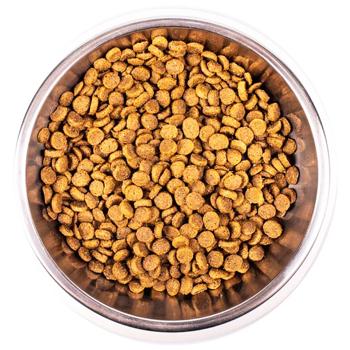 Корм сухий Monge Kitten з куркою для кошенят 1,5кг - купити, ціни на MasterZoo - фото 2