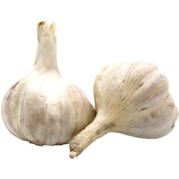 Garlic - buy, prices for METRO - photo 3