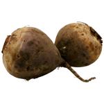 Буряк столовий