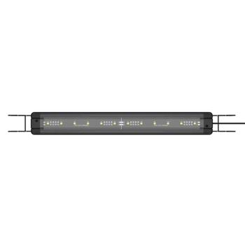 Lamp Collar Ukraine - buy, prices for MasterZoo - photo 4