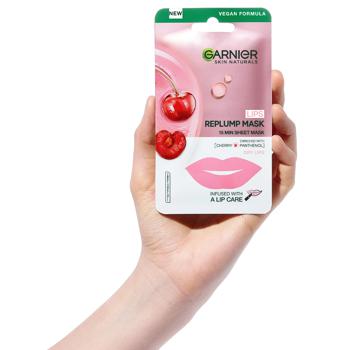 Garnier Skin Naturals Sheet Mask for Moisturizing and Restoring Dry Lips 6g - buy, prices for - photo 6