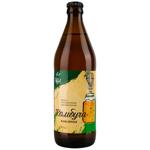 Royal Fruit Kombucha 0.5l