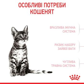 Набір корму Royal Canin для стерилізованих кошенят cухий 2кг + вологий 4шт х 85г - купити, ціни на MasterZoo - фото 6