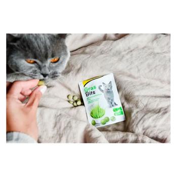 Delicacy Gimcat 425g Germany - buy, prices for MasterZoo - photo 2