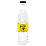 Evervess Tonic Carbonated Drink 250ml