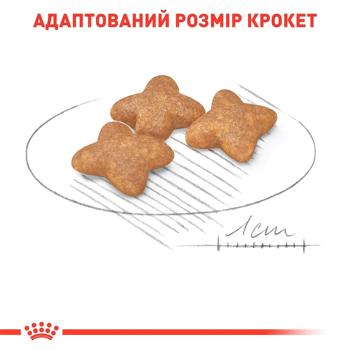 Сухий корм для собак Royal Canin Mini Adult 7+1 кг - домашня птиця - купити, ціни на MasterZoo - фото 5