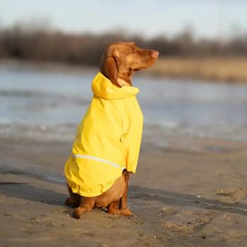 Noble Pet Moss Raincoat for Dogs s.L Yellow - buy, prices for - photo 7