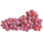 Виноград Премиум розовый Украина