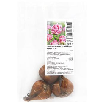 Full Late Double Aros Tulip Bulbs 3pcs - buy, prices for ULTRAMARKET - photo 1