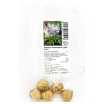 Bulbs of Snowdrop Campanulata Mixture 5pcs