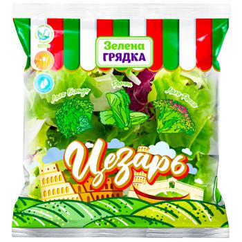 Zelena Griadka Caesar Lettuce Mix 130g - buy, prices for EKO Market - photo 1