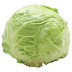 Young Cabbage