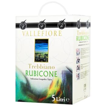 Vallefiore Trebbiano Rubicone White Dry Wine 11% 5l - buy, prices for METRO - photo 1