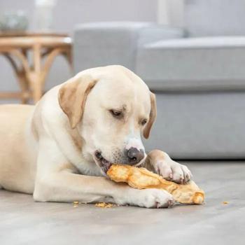Ласощі для собак Trixie Chewing Паличка L 13,5 см / 95 г - сир - купити, ціни на MasterZoo - фото 6