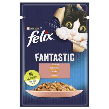 Корм вологий Felix Fantastic з лососем для котів 85г - купити, ціни на КОСМОС - фото 1