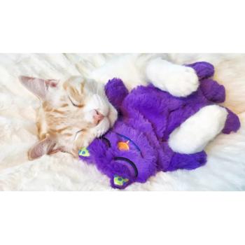 Toy Petstages - buy, prices for MasterZoo - photo 3