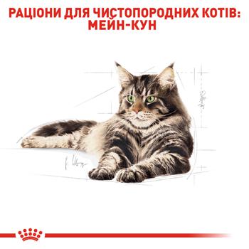 Корм сухий Royal Canin з домашньою птицею для дорослих котів породи мейн-кун 10кг - купити, ціни на MasterZoo - фото 3