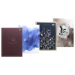 Interdruk Metallic Satin Gold Notebook A5 96 sheets in Assortment