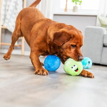 Trixie Ball in Display іграшка для собак - модель в асортименті - купити, ціни на MasterZoo - фото 6