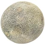 Дыня канталупа свежая весовая